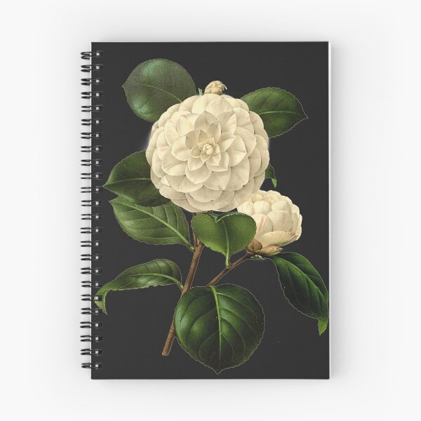 Item preview, White flower painting vintage  designed and sold by bohoDecor.