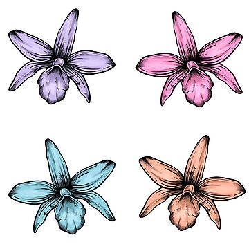 Artwork thumbnail, Orquids by PurpleTurtle8