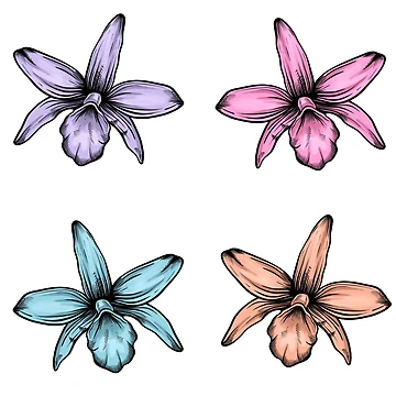 Artwork thumbnail, Orquids by PurpleTurtle8
