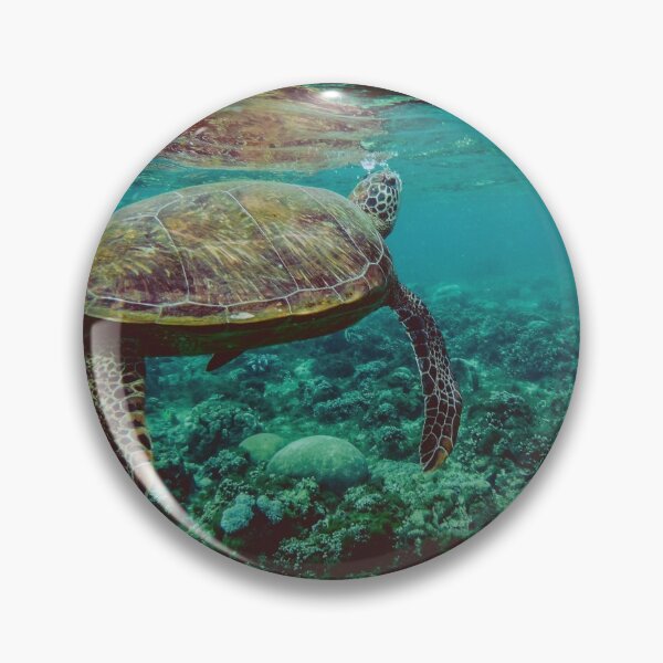 Item preview, Sea Turtle Photographed Underwater designed and sold by SquishStitches.