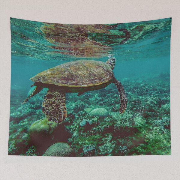 Item preview, Sea Turtle Photographed Underwater designed and sold by SquishStitches.