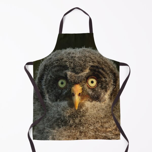 Item preview, Baby great gray owl designed and sold by locustgirl.