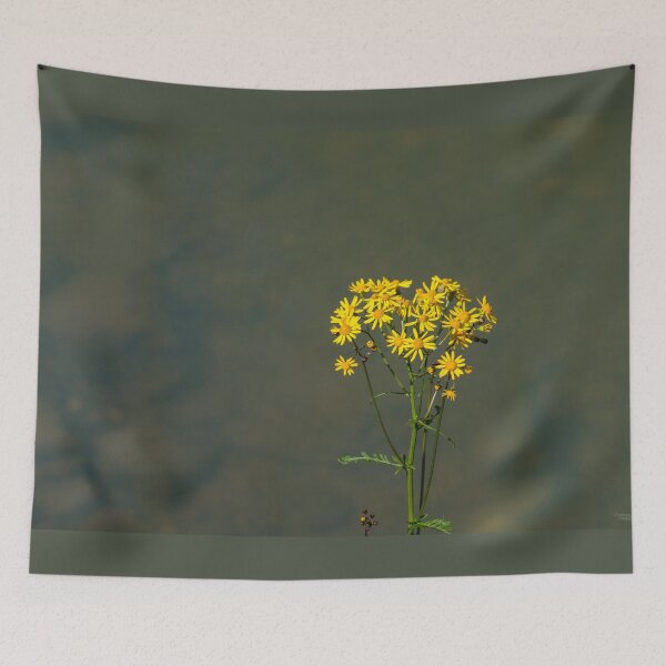 Item preview, Wildflower Daisies And Creek Water designed and sold by mljdwhite.