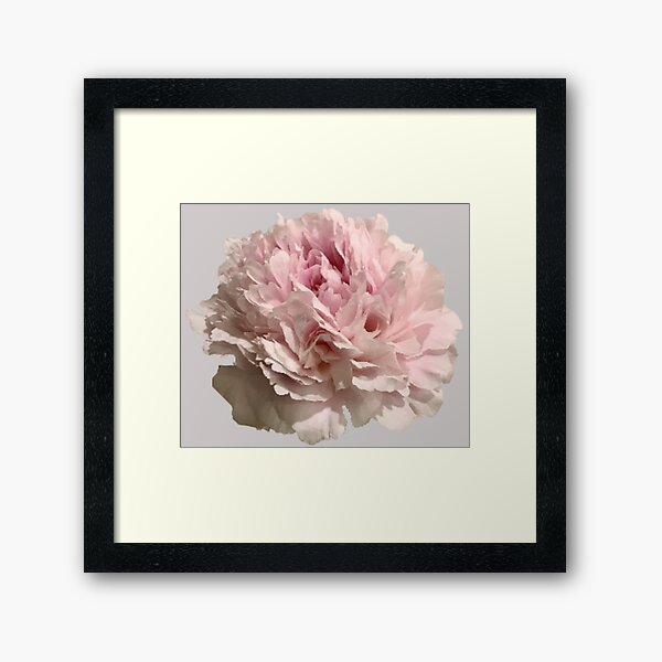 Item preview, Pale Pink Peony Close-up designed and sold by InalterataArt.