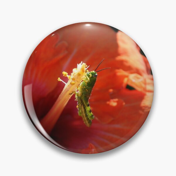 Artikelvorschau, Baby Grasshopper in Hibiscus entworfen und verkauft von Robyn J. Blackford.