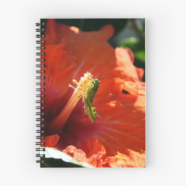 Item preview, Baby Grasshopper in Hibiscus designed and sold by Robyn J. Blackford.
