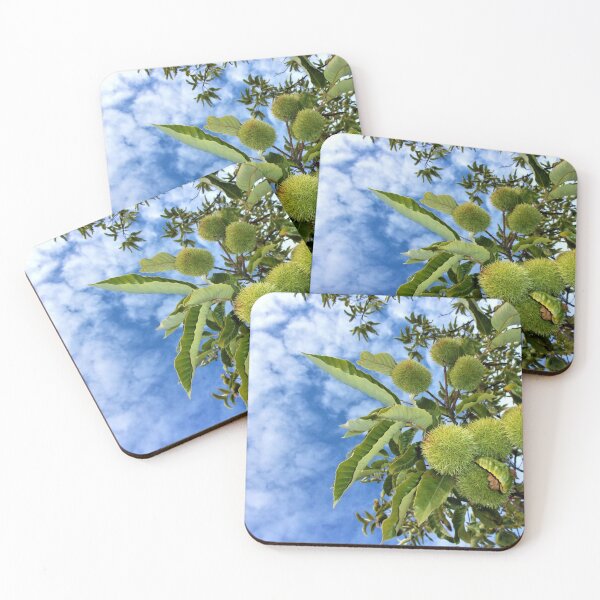 Item preview, American Chestnuts designed and sold by CJGrimes.
