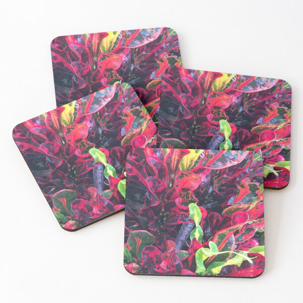 Item preview, Colorful variegated croton plant designed and sold by JuliVogel.