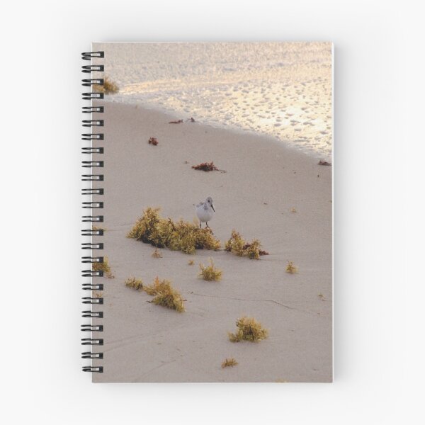 Item preview, Morning walk on the beach with Sandpipers. designed and sold by YR-Collections.