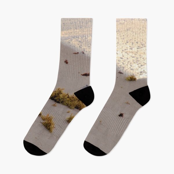 Item preview, Morning walk on the beach with Sandpipers. designed and sold by YR-Collections.