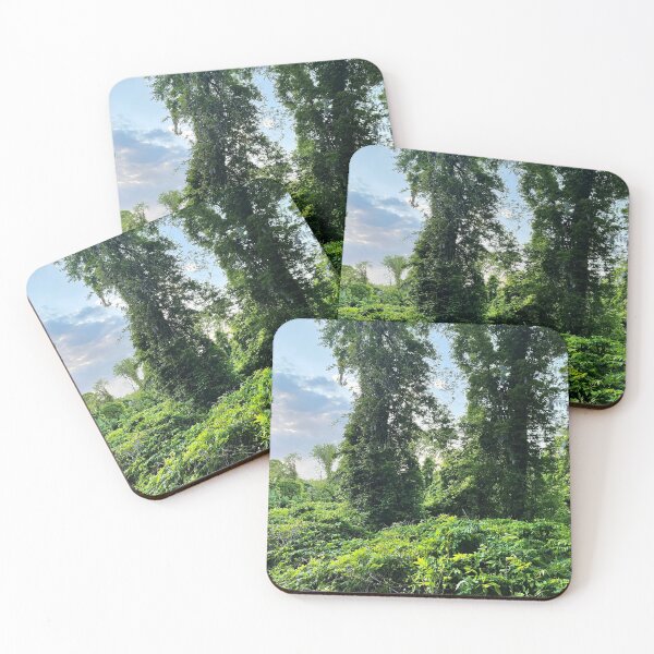 Item preview, Hiking Path Manasquan Reservoir designed and sold by Crafty-Mornings.