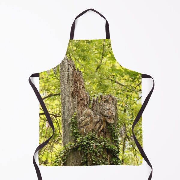 Item preview, The prettiest owl nest (new video in description) designed and sold by locustgirl.