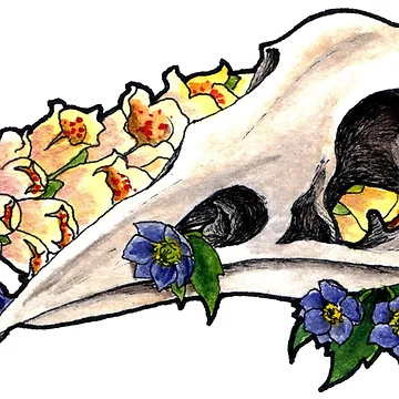 Aperçu de l'œuvre Skull of Air de Rey Mehlhorn
