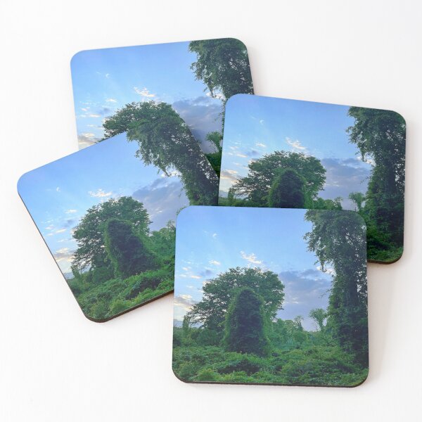 Item preview, Hiking Path Manasquan Reservoir Overgrown Path designed and sold by Crafty-Mornings.