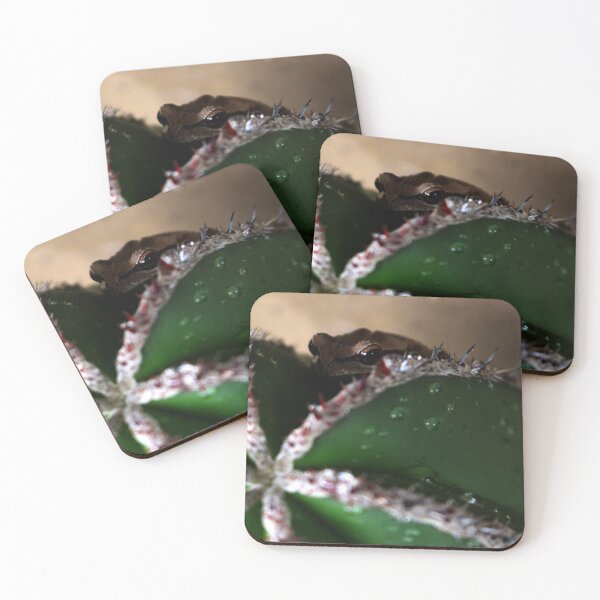 Item preview, Unexpected Harmony: Frog Perched on Cactus designed and sold by Paul Yeatman.