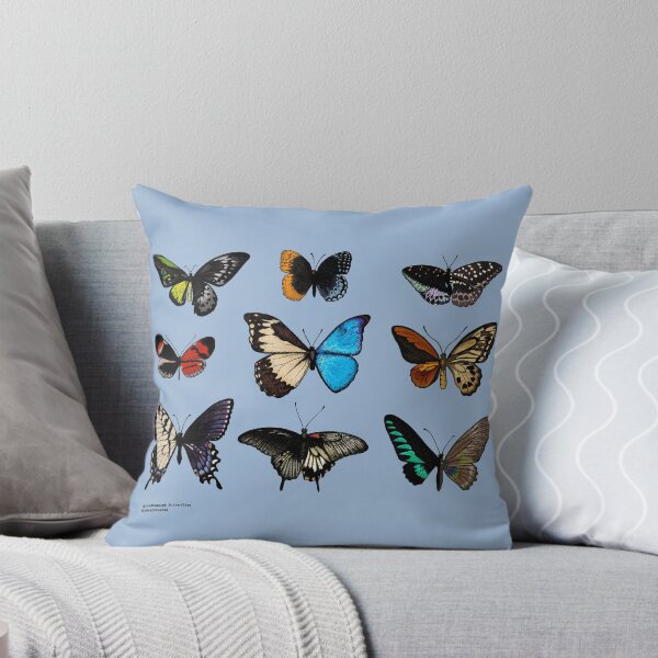 Item preview, Gynandromorph Butterflies designed and sold by sydneyonearth.