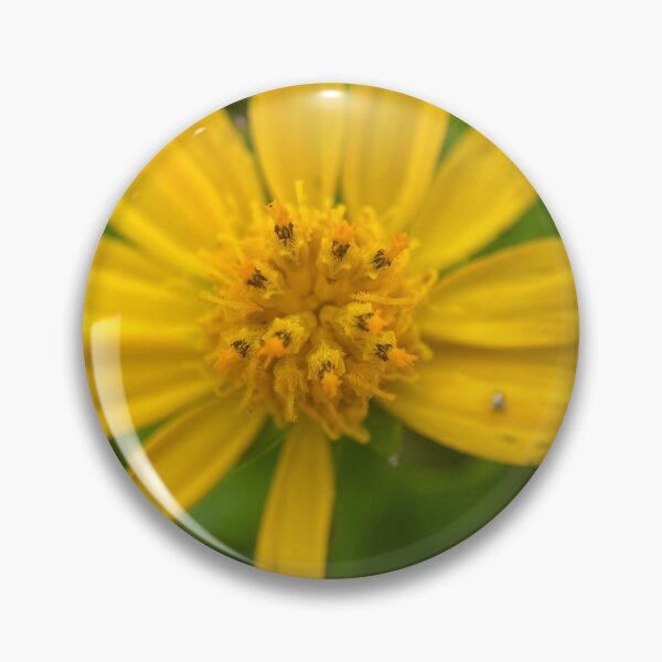 Item preview, Yellow Longleaf Arnica Flower. designed and sold by Sinemathk.
