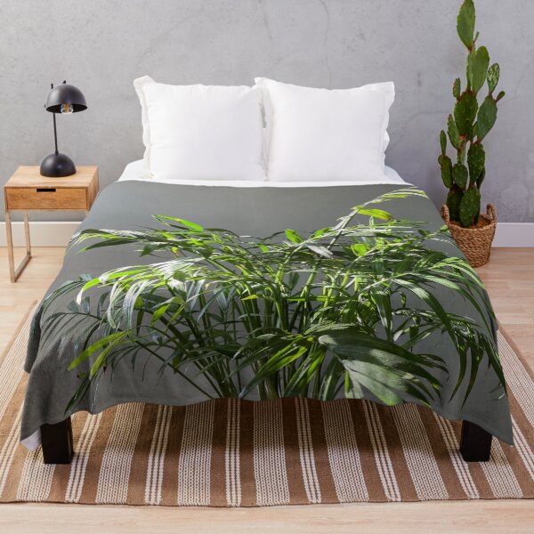Item preview, Indoor House Plant designed and sold by Crafty-Mornings.