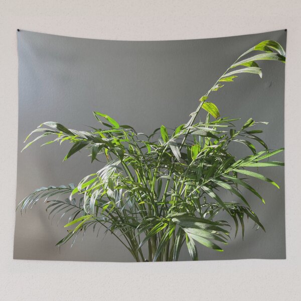 Item preview, Indoor House Plant  designed and sold by Crafty-Mornings.