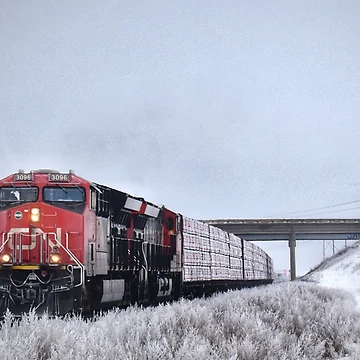 Artwork thumbnail, Canadian Train Approaching by NaVisuals