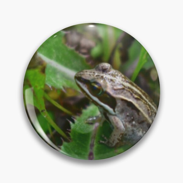 Item preview, Frog Enjoy Spring Weather designed and sold by NaVisuals.