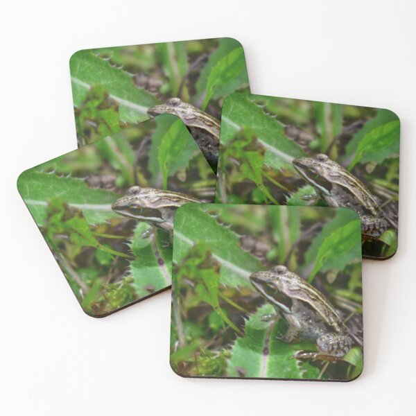 Item preview, Frog Enjoy Spring Weather designed and sold by NaVisuals.