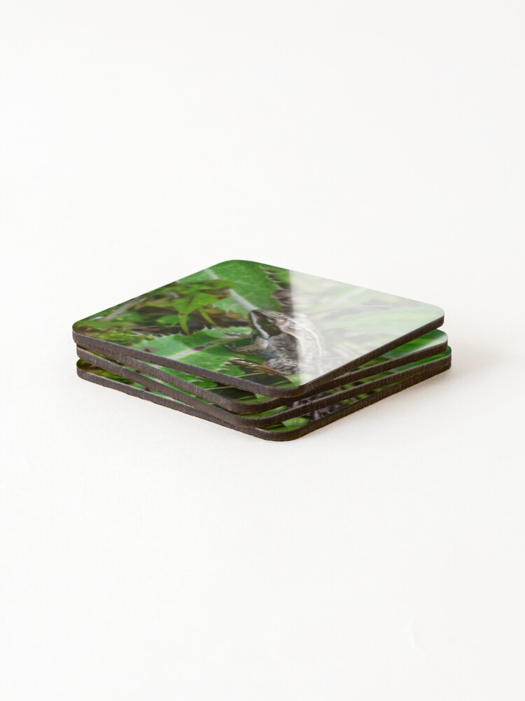 Thumbnail 4 of 5, Coasters (Set of 4), Frog Enjoy Spring Weather designed and sold by NaVisuals.