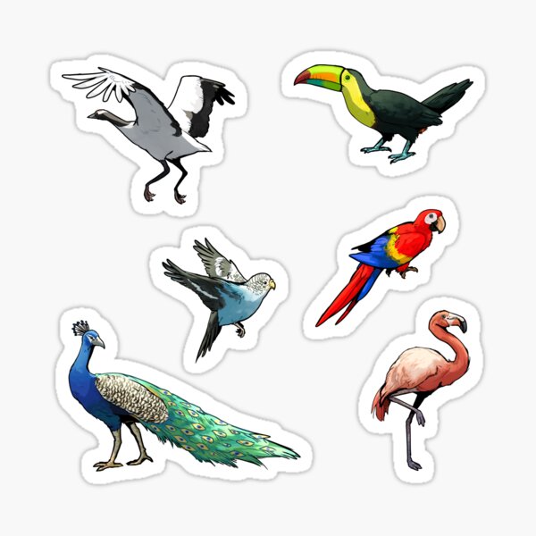 Item preview, exotic birds!  designed and sold by chaoticcaprisun.