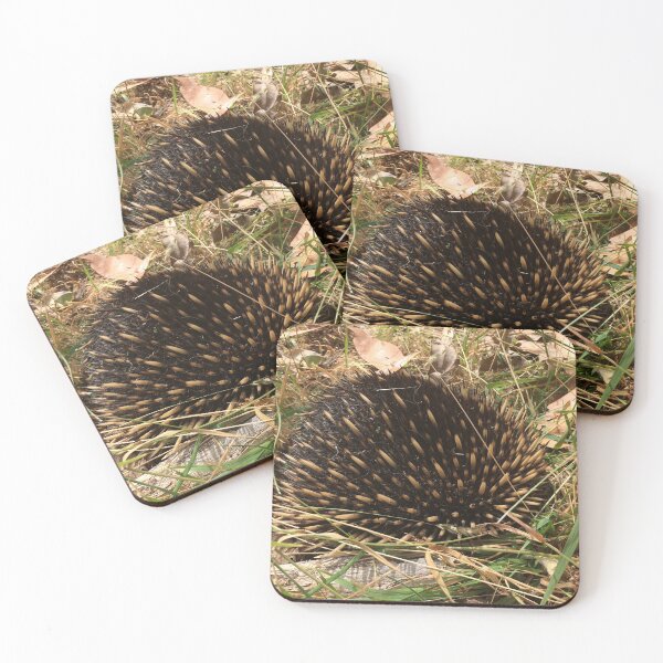 Item preview, Hidden Treasures: Echidna Digging in the Grass designed and sold by Paul Yeatman.