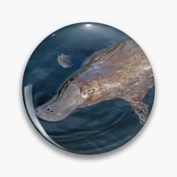 Item preview, Platypus designed and sold by Leeo.