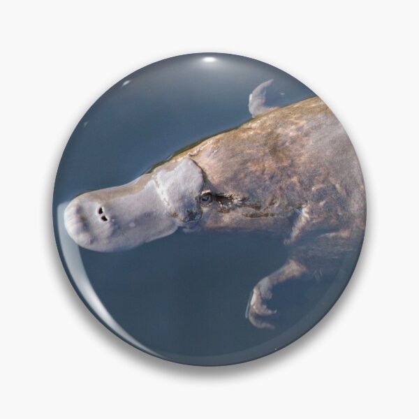 Item preview, ~ Platypus ~ designed and sold by Leeo.