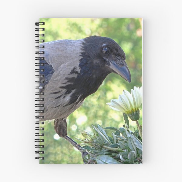 Item preview, Visita de animales designed and sold by Babbler01.