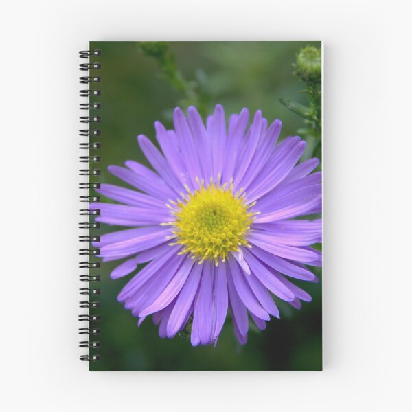 Item preview, Purple flower designed and sold by Babbler01.