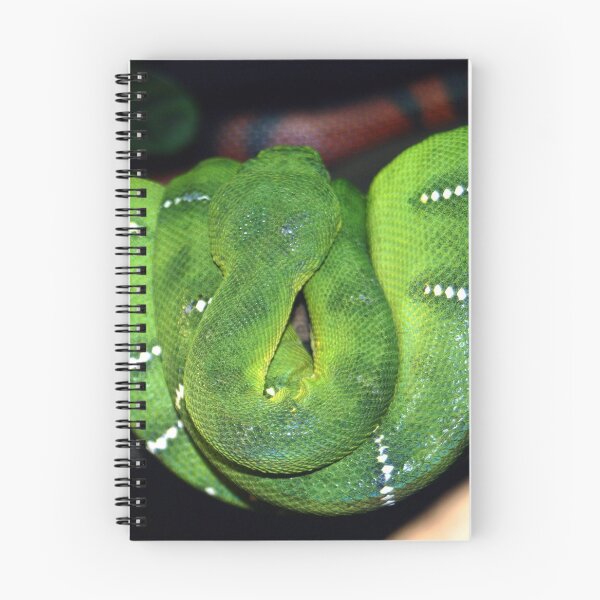 Item preview, "Serpentine Majesty: Green Jungle Python Coiled designed and sold by Paul Yeatman.