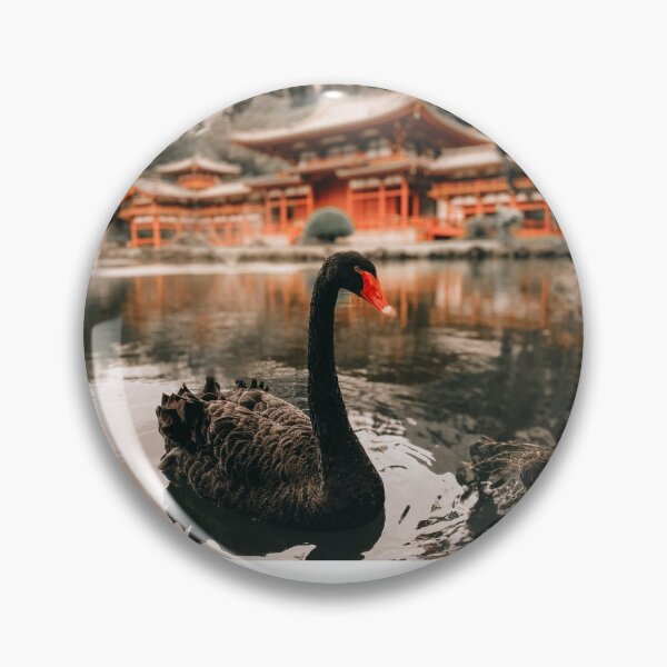 Item preview, Black Swan at Byodo-In Temple, Oahu, Hawaii designed and sold by Hawaii Dream Life.