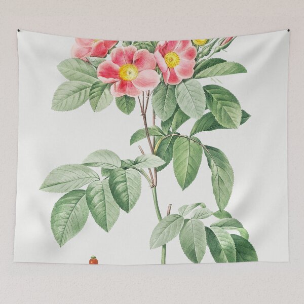 Item preview, Les Roses by Pierre-Joseph Redouté designed and sold by EsotericBotanic.