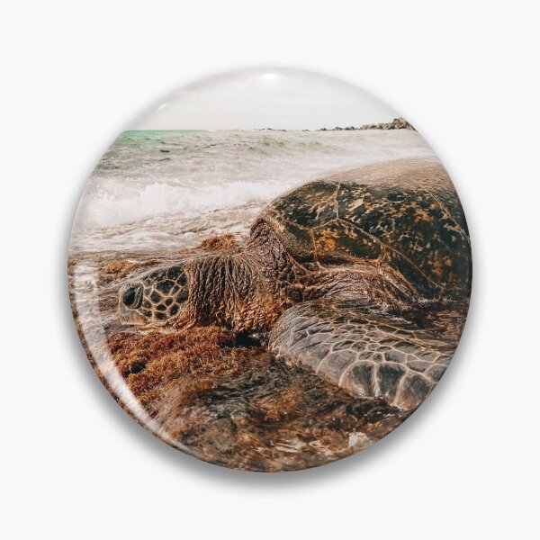 Item preview, Hawaiian Green Sea Turtle on Oahu, Hawaii designed and sold by Hawaii Dream Life.