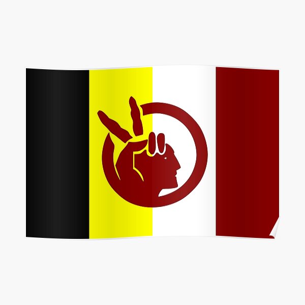 American Indian Movement Flag Poster