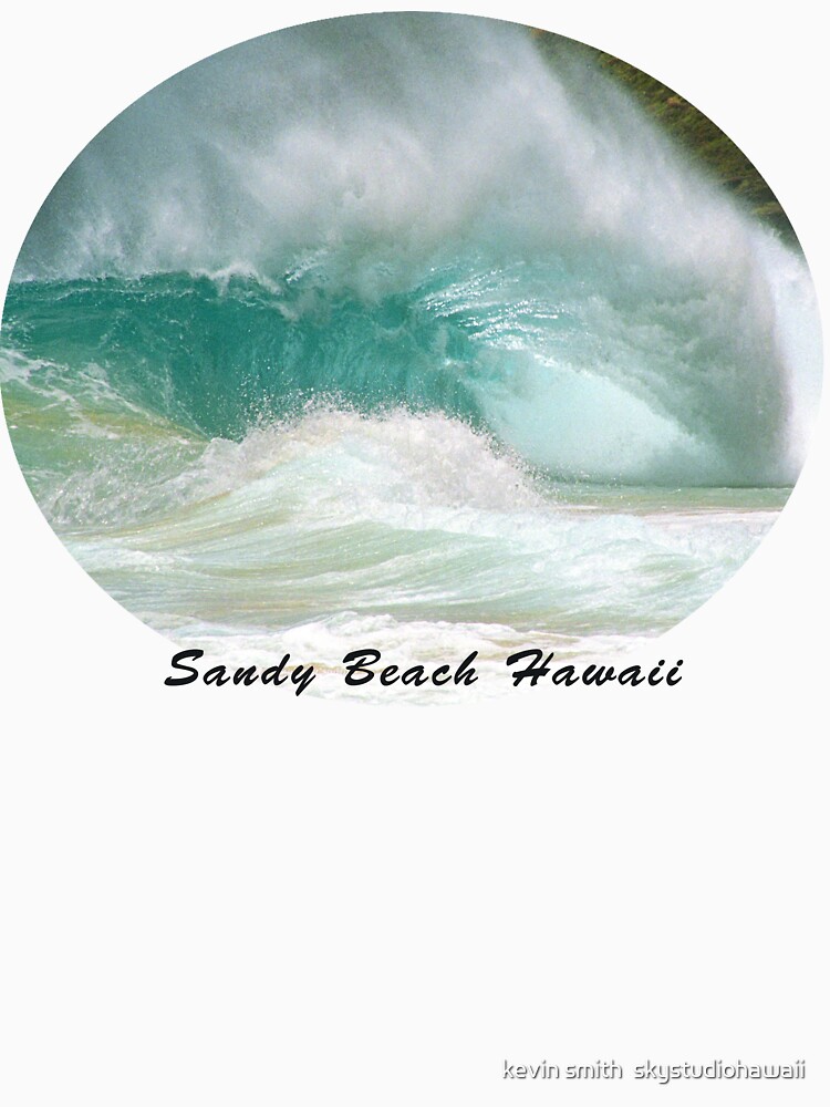 Obama's Bodysurfing Beach by skystudio