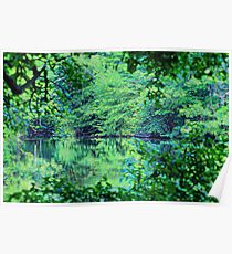 Green Serenity Poster