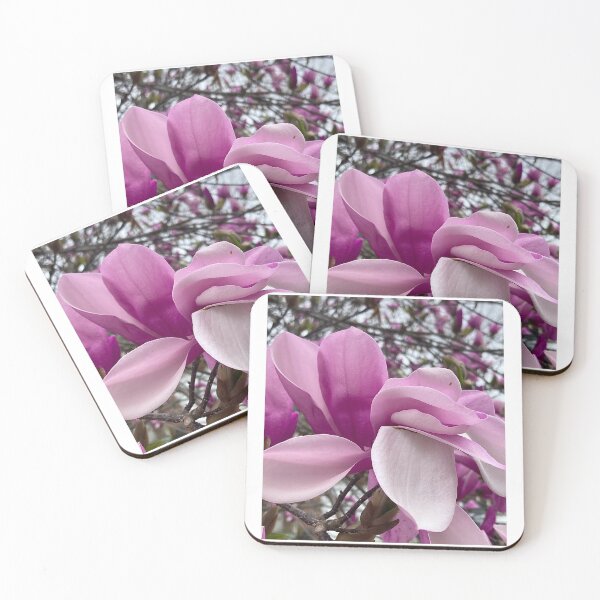 Item preview, Saucer Magnolia Pink Flowers designed and sold by Max Kindly.