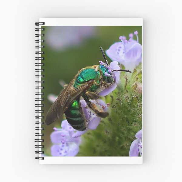 Item preview, Green bee on flower designed and sold by Joe Saladino.