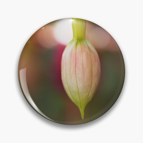 Item preview, Fuchsia Bud Natures Gift  designed and sold by Joy Watson - Natural Light Photography .