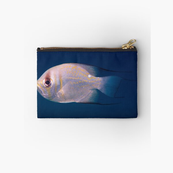 Item preview, Threadfin Pearl Perch, Ningaloo Reef designed and sold by Erik Schlogl.