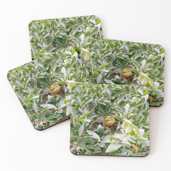 Item preview, Orange in tree designed and sold by lordapoth.