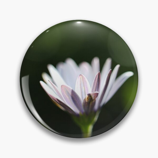 Item preview, Glow Green Cape Daisy designed and sold by Joy Watson - Natural Light Photography .