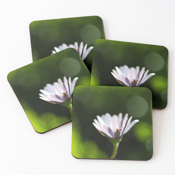 Item preview, Glow Green Cape Daisy designed and sold by Joy Watson - Natural Light Photography .