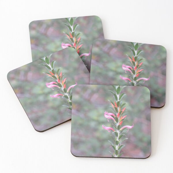 Item preview, Pink eremophila designed and sold by greentiger1.