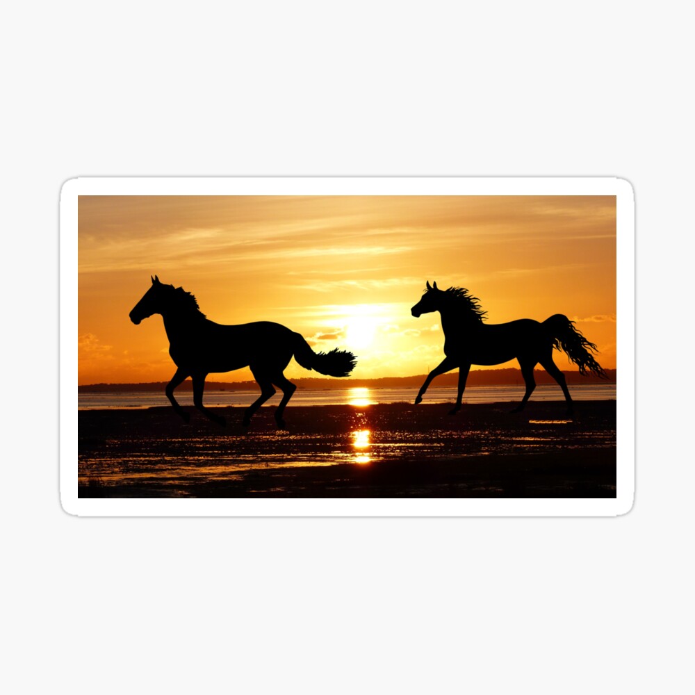 Download wallpaper 1920x1080 sunset, field, horses full hd, hdtv, fhd,  1080p hd background