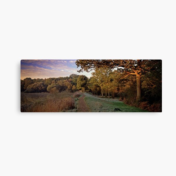 Epsom Common Canvas Print